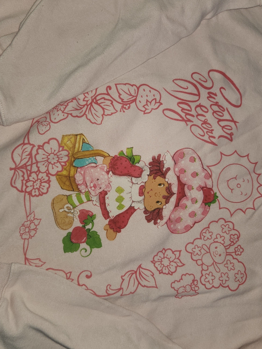 Strawberry Shortcake Pink Graphic Hoodie Sweatshirt